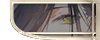 黒音（クロネ）
